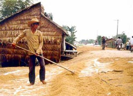 Nâng cao giá trị nông sản bằng công nghệ sau thu hoạch